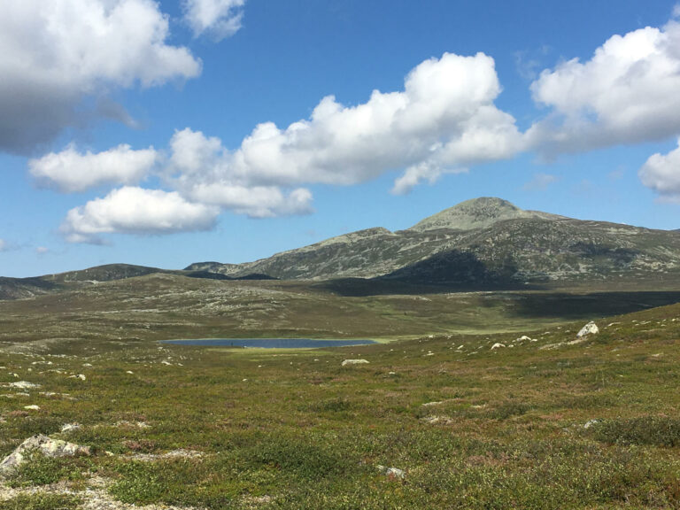 Renbiten Grövelsjön Sommar