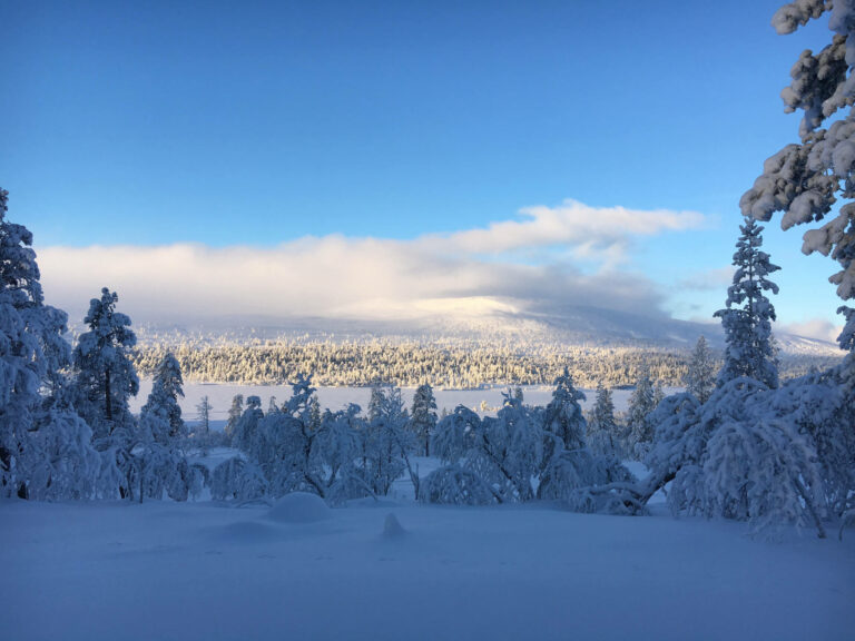 Renbiten Grövelsjön Vinter